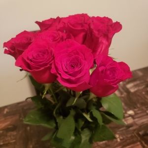 Meet your Posher, Norma